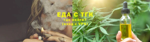 ECSTASY Бородино